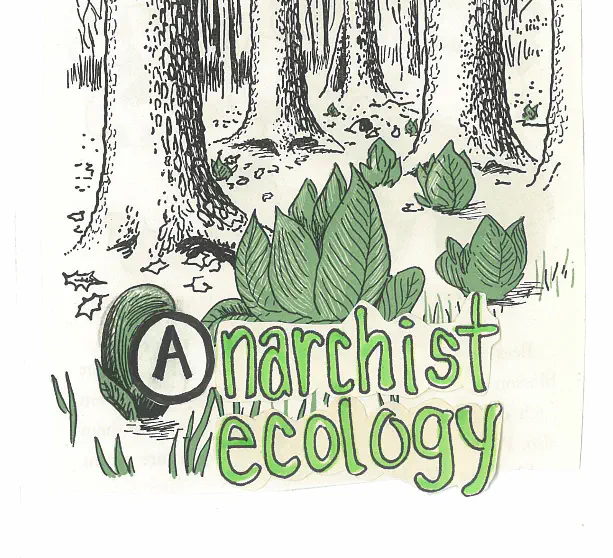 The title in front of a drawing of green leafed plants on a forest floor